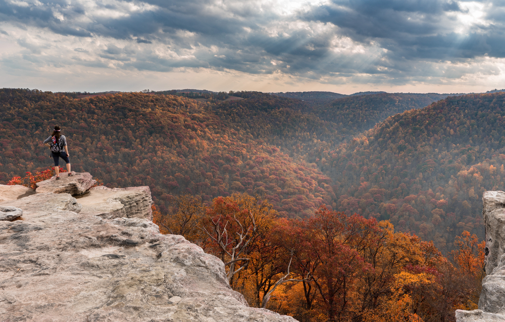 raven rock overlook in coopers rock state forest west virginia