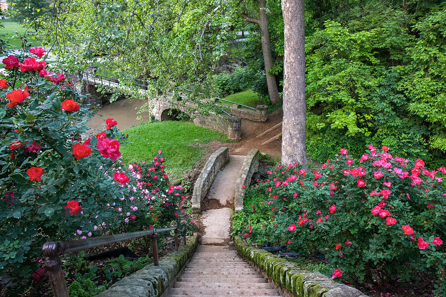 ritter park rose garden, west virginia